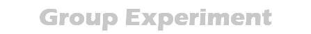 Group Experiment