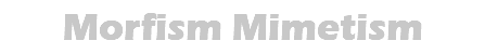 Morfism Mimetism