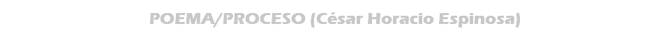POEMA/PROCESO (César Horacio Espinosa)