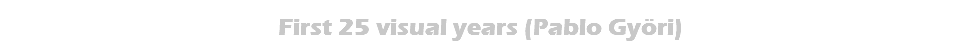 First 25 visual years (Pablo Györi)