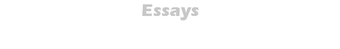 Essays 